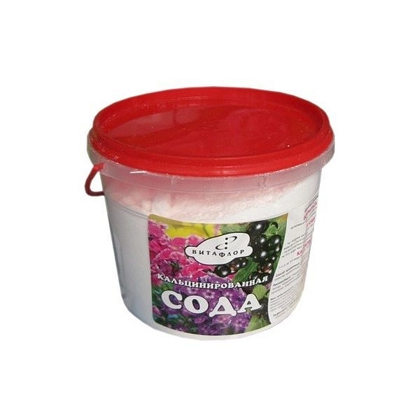 Фунгицид Сода кальцинированная от болезней растений 0,4л